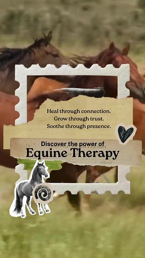 When the mind goes quiet, the heart begins to speak through hooves 🐴 You’ve felt it, that moment when a horse meets someone’s eyes and something shifts. Something words could never reach. Equine Therapy Practitioner Certification teaches you how to guide healing sessions with horses as partners in emotional regulation, trauma recovery, and trust-building. You’ll learn to create experiences that help clients reconnect with themselves and others, and you can begin with confidence even if you don’