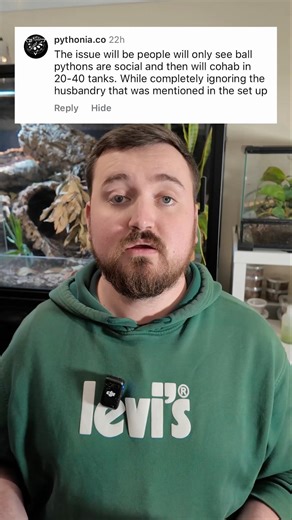 Should we be talking about ball pythons being social?