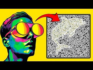 👀 Test Your Eyes with This Daltonism Test! Incredible Results Await! | WIKIFUN