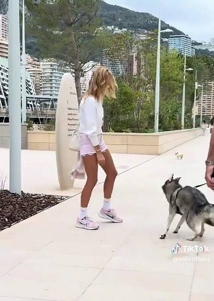 a6Brothers on TikTok