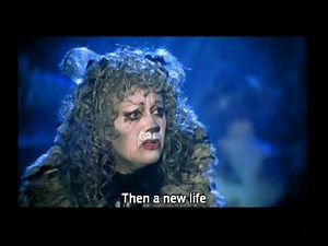 Cats Memory with Eng subtitle