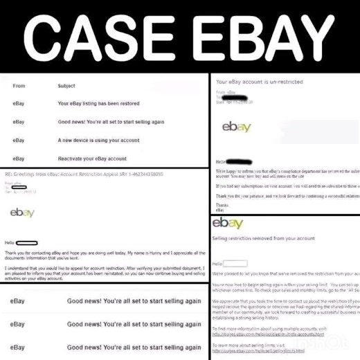 Your eBay Account has Been Permanently Suspended - How to Reinstate eBay Seller Account in 2026
