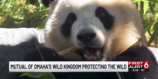 Mutual of Omaha's Wild Kingdom protecting the wild