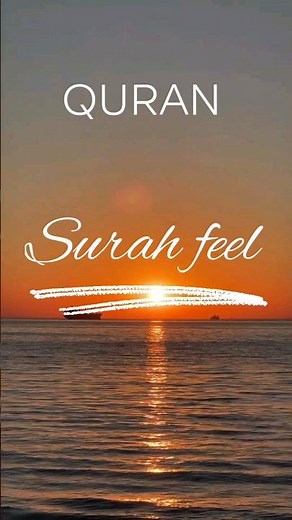 Surah Feel | Surah Al-Feel {Full HD Arabic} Beautiful Recitation Surah Feel | #surah #quran #shots