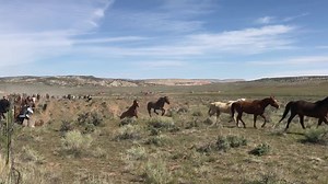 24K views · 508 reactions | Great American Horse Drive. | Steamboat Pilot & Today | Facebook