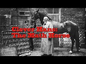 Clever Hans: The Math Horse / Smartest Horse That Ever Lived