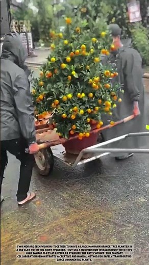 Innovative DIY Heavy-Duty Cart for Transporting Large Ornamental Plants! 🪴🚀