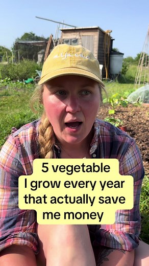 Jess grows food (@jessmarall)’s video of Veggie Garden