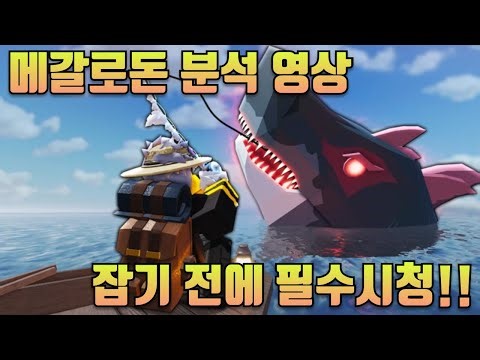 Everything You Need to Know About Roblox Fish Megalodon