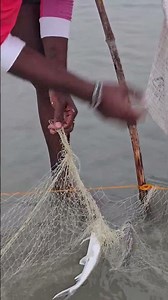 Process of catching fish by applying water in water #fishhunting2
