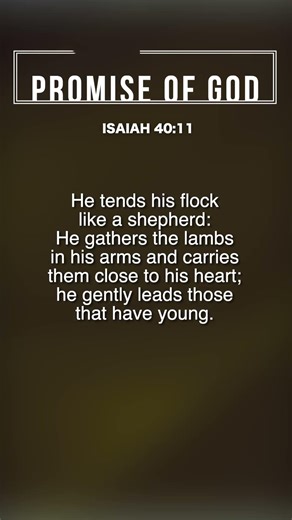 #PromiseofGod #Bible #Jesus #GlorytoGod #youtubeshorts #shorts #Biblicalpromise #inspiration