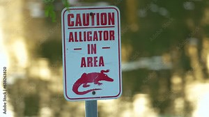 Warning sign about alligator in water in Florida park. Caution and safety during walking near waterfront