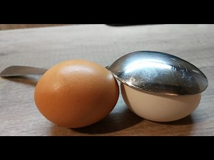 Experiment - Inflating the Egg by Reverse Osmosis