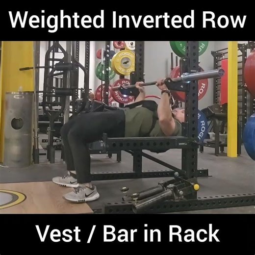 Weighted Inverted Row- Vest / Bar