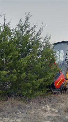 Efficient Land Clearing with MICROFORST cl Mulcher