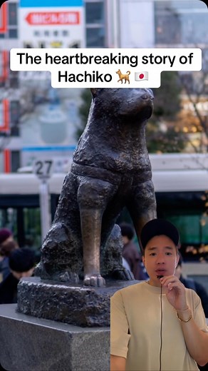 💔 You can visit Hachikō’s statue at Shibuya Station in Tokyo (Hachiko Square, 2 Chome-1 Dogenzaka, Shibuya City, Tokyo). The story of Hachikō is one of loyalty, love, and heartbreaking loss. In the 1920s, a professor named Hidesaburō Ueno from the University of Tokyo adopted a small Akita puppy, Hachikō. They quickly formed a deep bond. Every morning, Hachikō would accompany Ueno to Shibuya Station and return in the evening to greet him. But on May 21, 1925, everything changed. Hachikō escorted