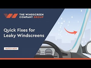 Quick Fixes for Leaky Windscreens