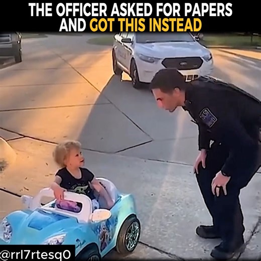 The Officer Asked For Papers And Got This Instead! Source: rrl7rtesq0 #funny #police #prank #humor #usa | Caught In Providence