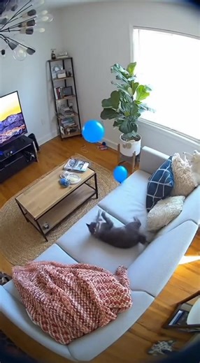 790K views · 564 reactions | A quiet afternoon turned into absolute...