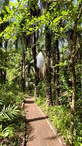 Find your rhythm in the heart of nature 🌿 • Wander through our waterfall pathway surrounded by lush greenery, where every step invites a feeling of calm and serenity. A nature stroll for the soul, right here in the heart of it all • #SixSenses #OutOfTheOrdinary #SixSensesYaoNoi #SimplySixSenses #VeryMindful #Destination #ReadersChoice #TropicalRetreat #Nature #NatureWalk #LuxuryTravel #Thailand | Six Senses Yao Noi