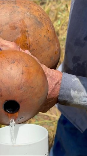 Água na cabaça! Coisa antiga!