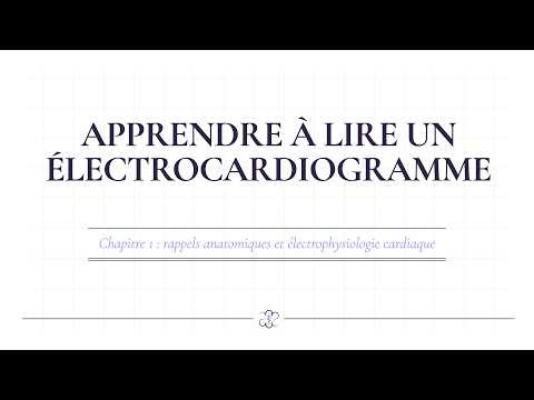 Apprendre à lire un ECG : les bases essentielles pour comprendre