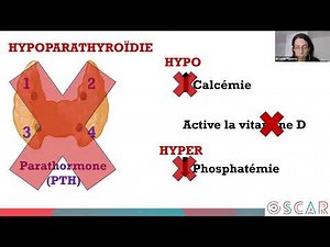 Replay Webinaire Hypoparathyroïdie |​ 1er Juin 2022