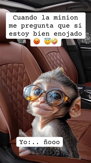 Funny Minion Reaction to Anger Questions