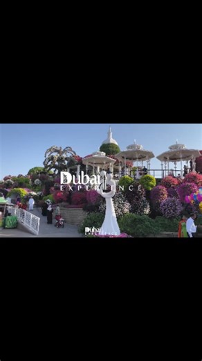 The Black Travel Feed on Instagram: "DUBAI 2026… THIS IS YOUR SIGN! ⠀ THE DUBAI EXPERIENCE – 8 YEAR ANNIVERSARY ⠀ March 26 – April 1, 2026 ⠀ 🌍 Dubai, UAE | 🚨 LIMITED SPOTS – LOCK IN NOW! ⠀ 8 YEARS STRONG and we’re turning Dubai all the way UP! ⠀ This isn’t just a trip — it’s THE EXPERIENCE ⠀ 💎 6 nights at a 5-star luxury hotel ⠀ 🏜 Desert Safari Adventure (Dune Bashing, Camels, Belly Dancing & more) ⠀ 🏖️ Beach Day — CRAZY VIBES all day long! ⠀ 🏊‍♂️ One Legendary Pool Party ⠀ 🚢 Rock The Yac