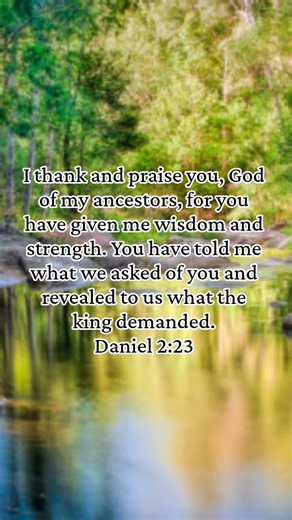Bible verse Daniel 2:23 #bibleverse #praisethelord #jesuslovesyou #gloriousgod #godsmessage