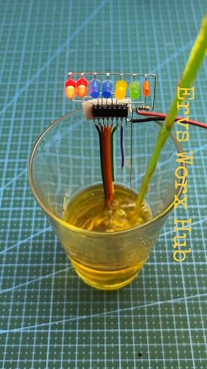 How to Build a Water Indicator Circuit: Electronics Tutorial