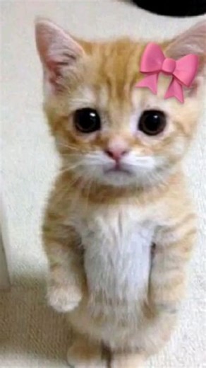 SHREY VISUALS🗿 on Instagram: "Delhi's air quality nears 'severe' level, pollution crosses 400-mark in 15 stations The 24-hour average Air Quality Index (AQI), reported at 4 pm every day, stood at 361 on Saturday. It worsened further to 372 at 6 pm. Delhi's air quality worsened on Saturday as pollution levels exceeded the 400-mark in many areas, making the national capital one of the most polluted cities in the country"