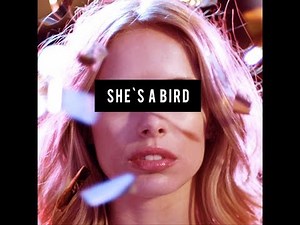 Vagabond Specter — She's A Bird