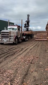 Logging videos deserve to be in the "ASMR Oddly Satisfying Videos" category! 😅 Video credit: Curt Smith (@curtissmith046 TikTok) - - - - #sercoloaders #logging #materialhandling #forestry #logtruck #loggingislife #peterbilit #trucking #heavyequipmentoperator | Serco Loaders