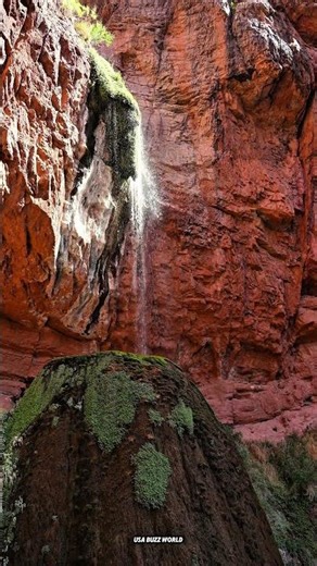 "Grand Canyon Is a Real Time Machine 🤯 | 2 Billion Years in One View!"