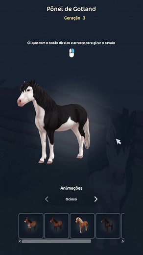 Ponei de Gotland - Star Stable Online - Cavalos e Laços Macanudo 2
