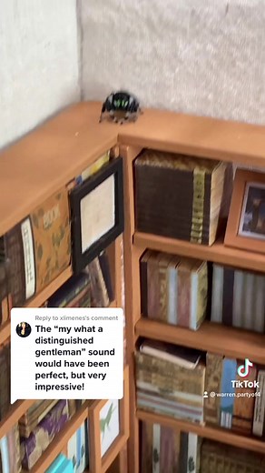 Phidippus Audax Jumping Spider Library Visit