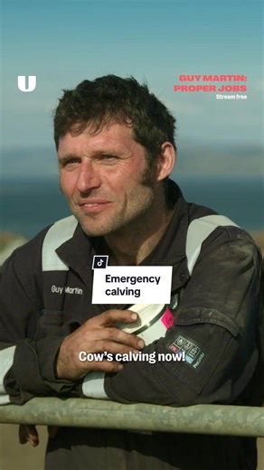 Experience the Fun of Dairy Farming with Guy Martin