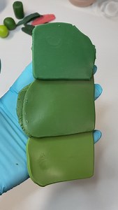 38K views · 292 reactions | Making my ANTHURIUM VEITCHII miniature...