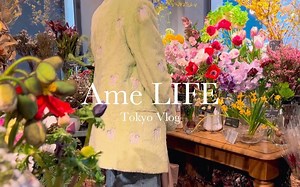 中字 | Ame LIFE | 编织的日常 | 东京VLOG | 2023 合集