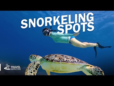 7 BEST Snorkeling Spots in USA! Try Snorkeling Instead of Scuba Diving!