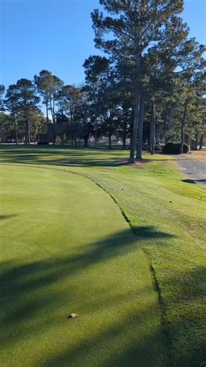 Nothing goes together quite like golf and wildlife!! Just another of the many reasons to get out and play River Club!! #riverclub #myrtlebeachgolf #jacksonsview | River Club Golf Course