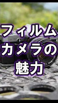 [A World Apart from Smartphones] The Appeal of Film Cameras
