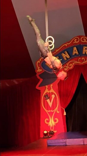 High-Flying Acrobat Dazzles on the Rings! Venardos Circus 🛞✨