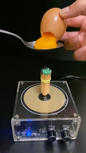 Tesla Coil VS EGG 🥚🍳 #teslacoil #experiment