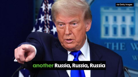 Four GOP members push to expose Epstein files