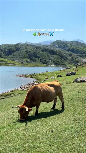 Una de las cosas que más me gusta de explorar Asturias son estos momentos ✨ #asturias #asturiasparaísonatural #planesasturias #exploreasturias