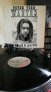 Wah gwaan, Tosh Army? On this #ToshTuesday, take a listen to “Reggaemylitis” from WANTED DREAD AND ALIVE on vinyl. Thanks IG user @ras_sound_vinyl for sharing the sounds of the Prophet. Don’t have a turntable? Stream “Reggaemylitis” here: https://found.ee/Reggaemylitis-1 | Peter Tosh