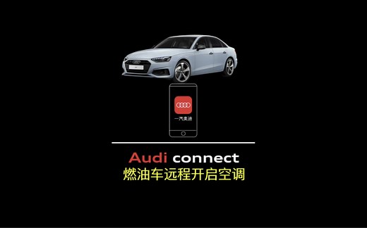 Audi connect｜远程开启空调