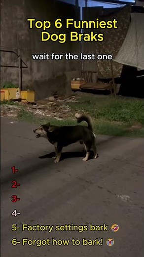 Top 6 Funniest Dog Braks 😂🐶 #funny #shorts #dontlaught